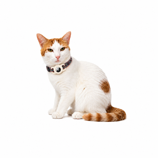 Silicone AirTag Holder for Pet Collars | Secure Slide-On Design